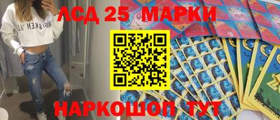 2c-b Кингисепп