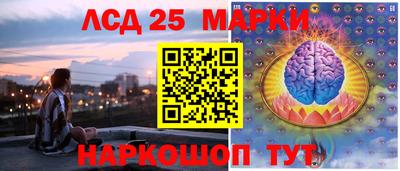2c-b Кингисепп