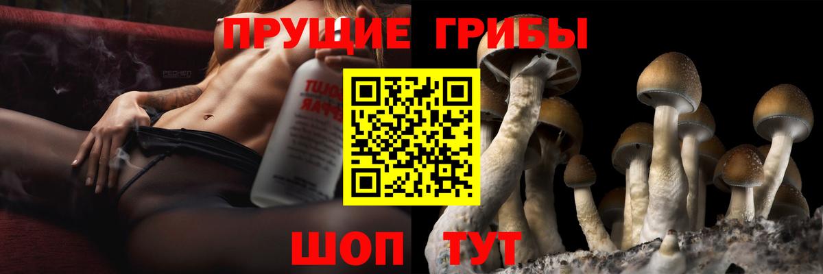 Галлюциногенные грибы прущие грибы  Вход с VPN  Кострома 